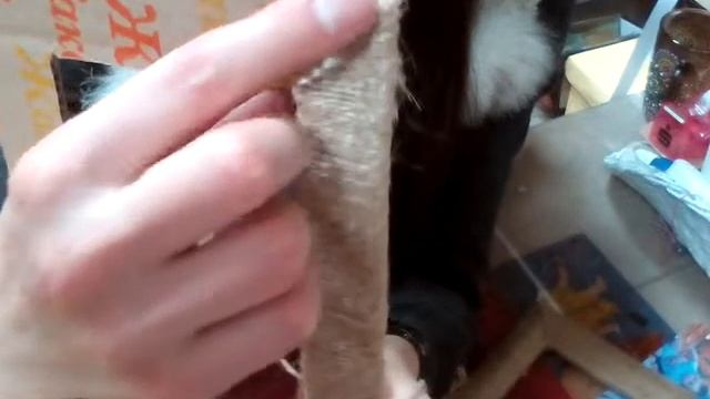 Мк фото рамки своими руками. смотреть онлайн