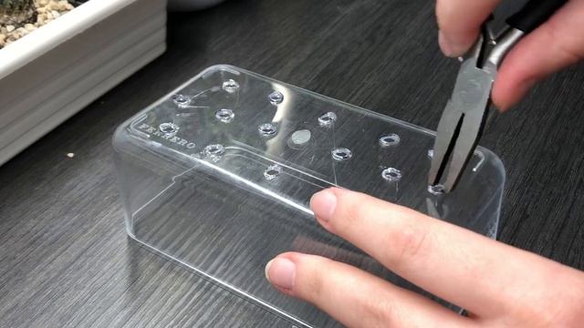 Пересадка седума у горщик з під коробки Ferrero (Sedum) смотреть онлайн