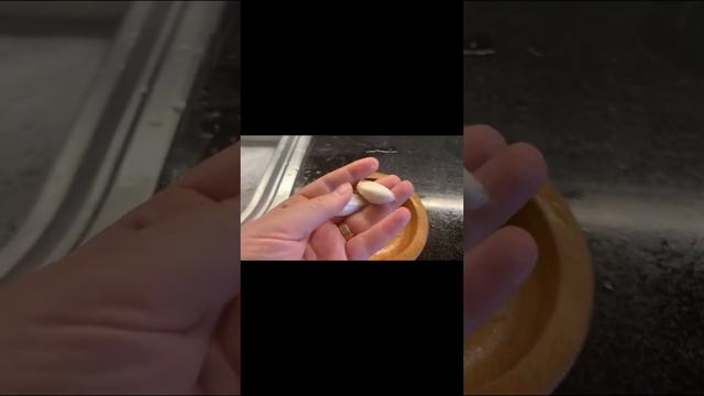 Бабагануш закуска из баклажанов/Ливанская кухня