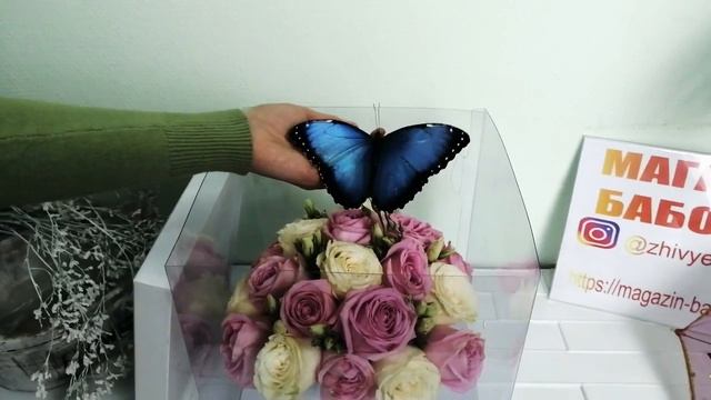 Букет с бабочкой от Магазина бабочек. Ру смотреть онлайн