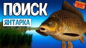 РР4/ рыбалка для души, ловим как универсал, общаемся 11.03.24