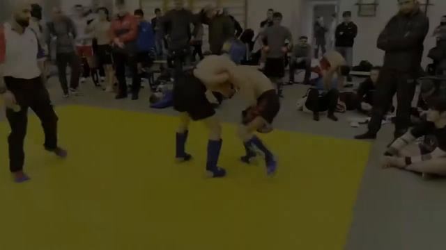 Самбо Батрак Ждан смотреть онлайн