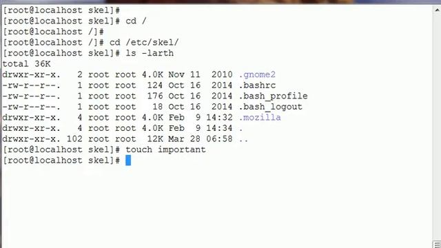 Copy files automatically to new created user in linux смотреть онлайн