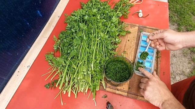 Теперь замораживаю зелень только так!!!! смотреть онлайн