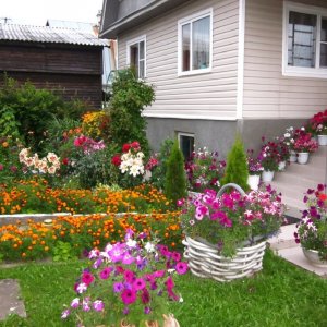 Ленинградская область, Всеволожск, мкр. Южный в цветах.