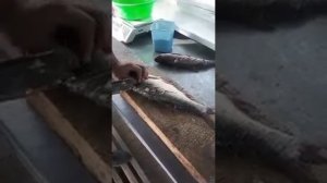 Как вкусно приготовить толстолобика .