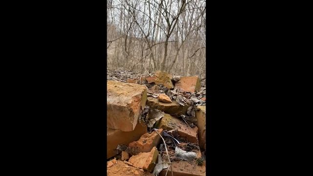 Жесткий тест ножа Mora Outdoor 2000(Mora Outdoor 2000 Hard Knife Test) смотреть онлайн