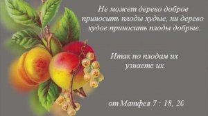 Семя Бога Живого. Хлеб Небесный. По плодам их узнаете их. Рождённый от Бога не грешит, а грех есть.