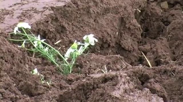 Уржумский ветер смотреть онлайн