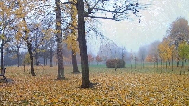 Осенний ноктюрн смотреть онлайн