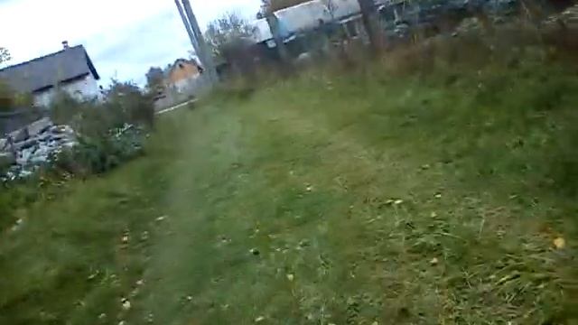 як ми бачили білку смотреть онлайн