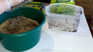 Лучшая присыпка для рассады.