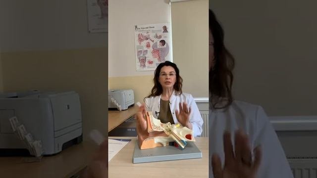 Детские отиты: лечение