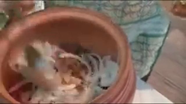 Фасоль с Мясом смотреть онлайн