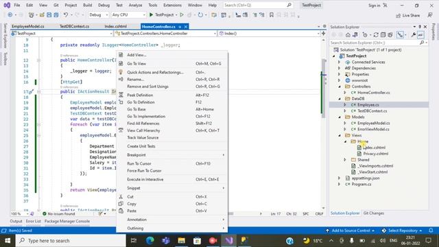 Search And Display Data In Table/Tabular Format in Asp.net Core 6/MVC using C# (SQL Server, Read)