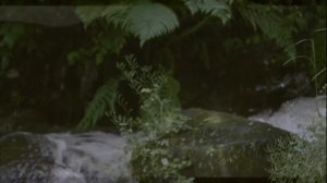 Классическая музыка~ Утренняя музыка~ Энергия и положительные эмоции~ Спокойная фортепианная музыка