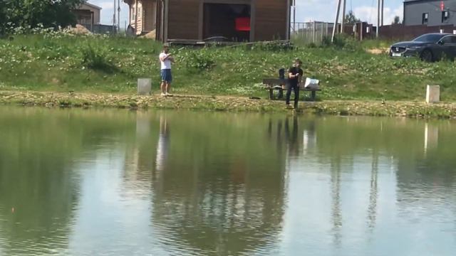 Вип - сом на селёдку смотреть онлайн