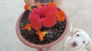 19. На ? Хуторе есть и кальмары и свежий сок. Забор и дом будут!