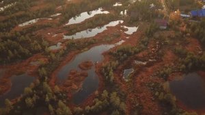 Рикасиха  28092020