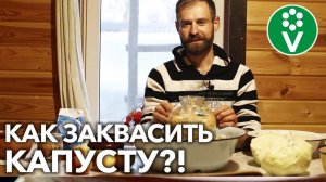ДВА РЕЦЕПТА КВАШЕНИЯ КАПУСТЫ: не только шинкованная, но и целые кочаны!