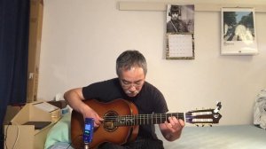 Till There Was You (Fingerstyle guitar)