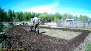 Пашем огород под картофель мотоблоком.