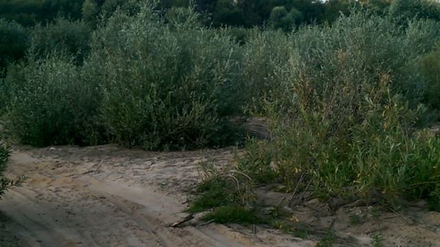 Как радоваться после спасения смотреть онлайн