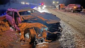 Аварии и ДТП на дорогах ТОРОПЫГИ за рулем