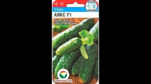 Обзор сорта огурцов "Аякс" (характеристики, свойства, фото)