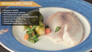 Мультиварка REDMOND RMC-PM504