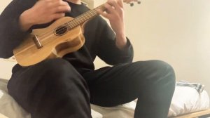 RHCP Can’t stop ukulele