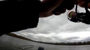 рыбалка на судака в апреле 2022.