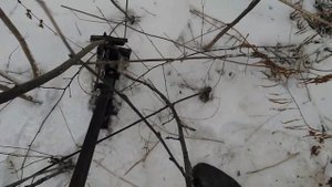 сад огород тест кустодёра