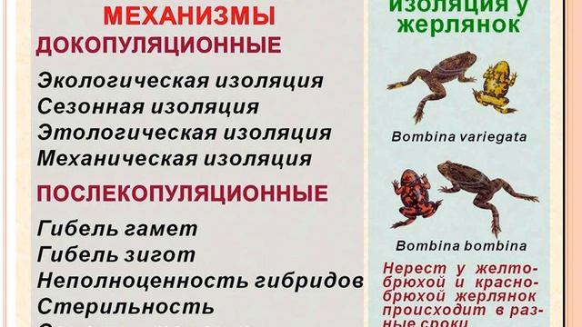 Изолирующие механизмы