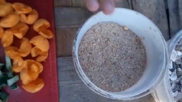 Рацион Кормление  кур несушек