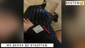 МА ДЕЛХА ДЕ Б1АЬРГАШ😍🔥