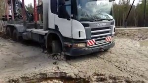 Скания в грязи