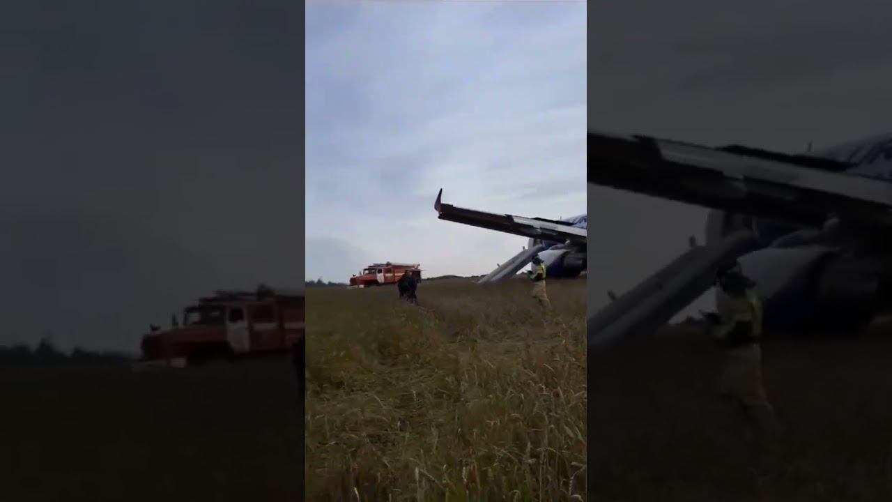 Вылетевший из Сочи самолет совершил аварийную посадку ✈️ #sorts смотреть онлайн