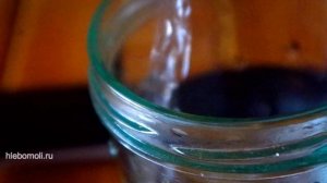 Пшеничная закваска, ежедневная подкормка