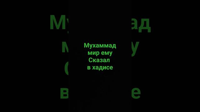 Мухаммад мир ему сказал что читать перед сном #религия #ислам #напоминания #