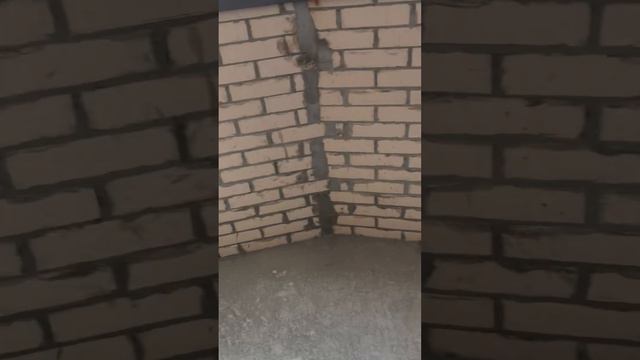 Студия 26 кв.м. Солженицына 17 89094259851 смотреть онлайн