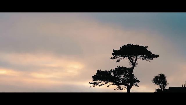 Savannah - Afrourbanplugg , Mindtigallo , Cassiano Jr. , Midous (Lyric Video) смотреть онлайн