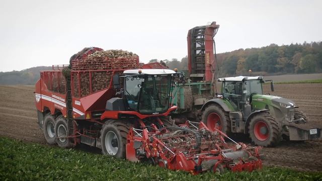 RÜBENERNTE XXL | Grimme REXOR 6300 | Fendt Vario Gen. 6 + HAWE ÜLW 4000 | Landtechnik Karow смотреть онлайн