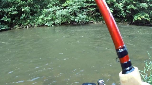 Форель на ультралайт или как хулиганят утки. Рыбалка в Германии. смотреть онлайн