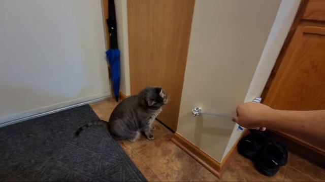 Weekends with Winnie & Gary - 2024-03-10 смотреть онлайн