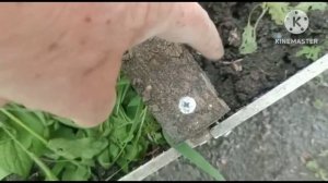Высокие грядка из плоского шифера Как делать?