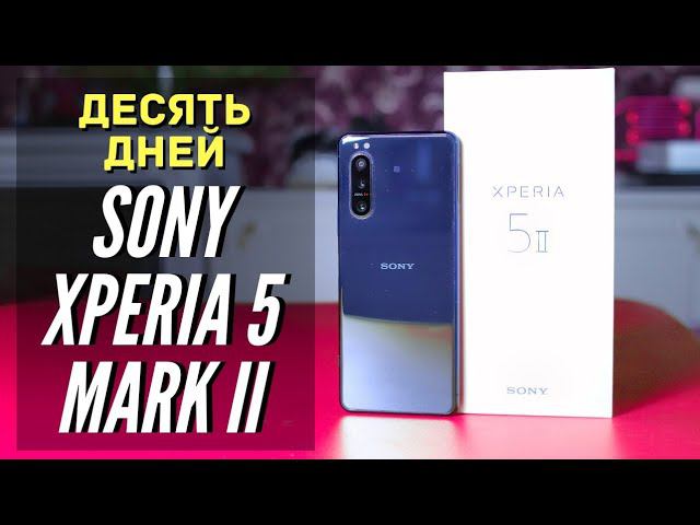НАКОНЕЦ-ТО ПОЛУЧИЛОСЬ! SONY XPERIA 5 ii. Обзор, опыт использования, сравнение камер.