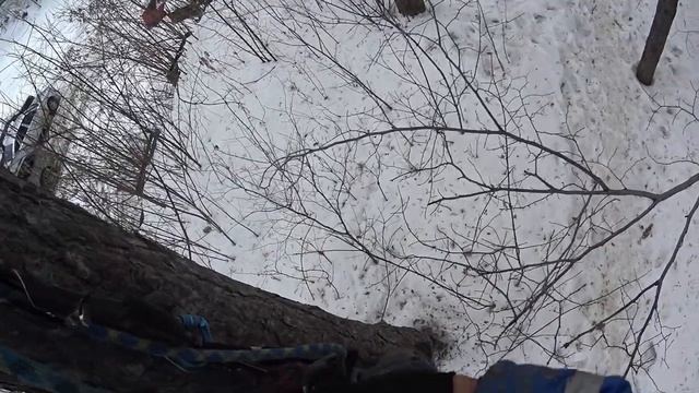 Тренировка - подъём по стволу дерева на снаряжении для альпинизма смотреть онлайн