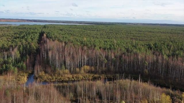 Осень в Крыпецах