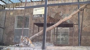 Ялтинский зоопарк «Сказка» Ялта полуостров Крым